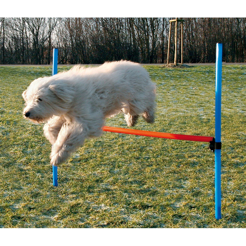 trixie dog agility