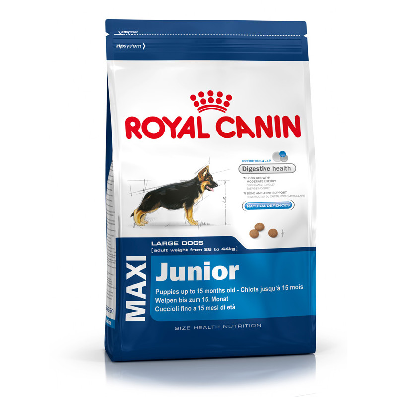 Buy Royal Canin Maxi Junior Dry Dog Food Online At Low Price In India Puprise