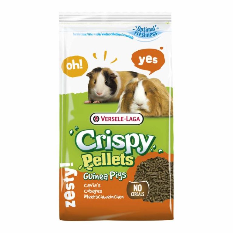 Buy Versele-Laga Crispy Pellets Guinea Pig Food, 2kg Online at Low ...