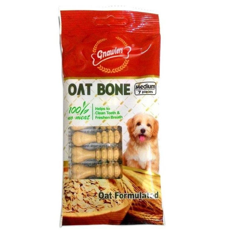 Buy Gnawlers Oat Bone Vegetarian Dog Treats Online at Low Price in ...