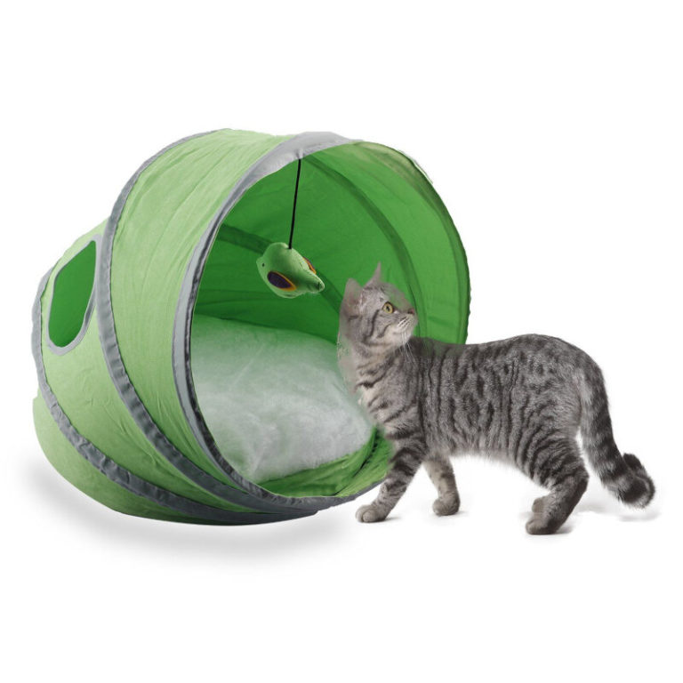 cat play tent