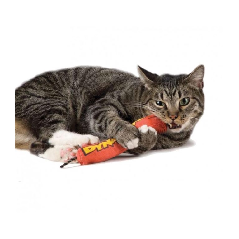 catnip filled toys