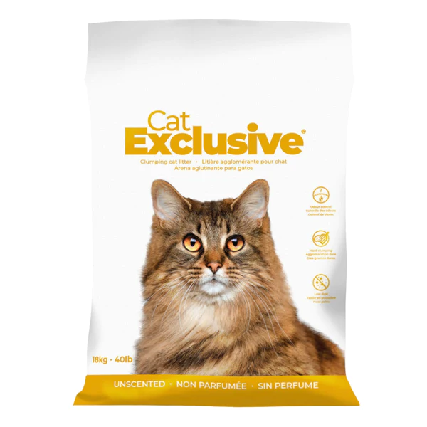 Buy cat clearance litter online